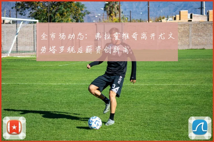 全市场动态：弗拉霍维奇离开尤文劳塔罗税后薪资创新高