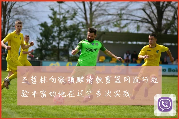 王哲林向张镇麟请教剪篮网技巧经验丰富的他在辽宁多次实践