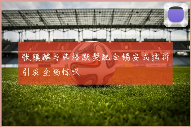 张镇麟与弗格默契配合锡安式挡拆引发全场惊叹