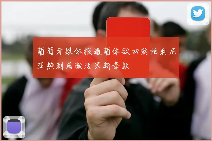 葡萄牙媒体报道葡体欲回购帕利尼亚热刺或激活买断条款